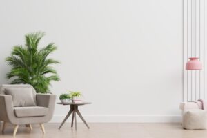 imgi_47_asset-46 imgi_47_asset-46